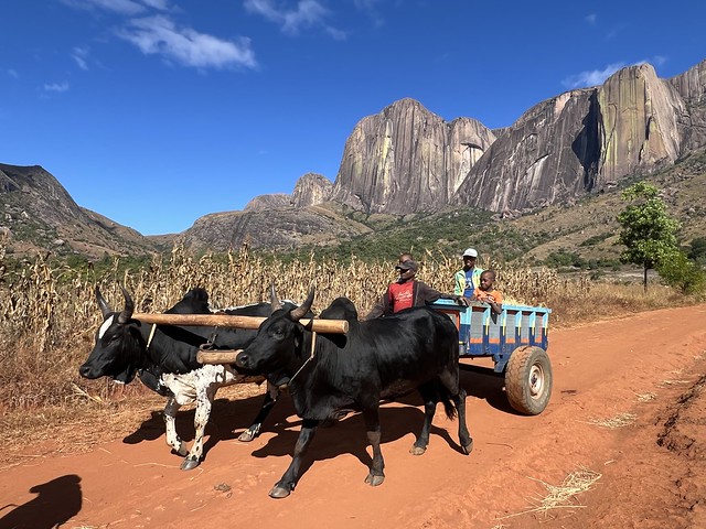 Carromato en el Valle de Tsaranoro (Madagascar)