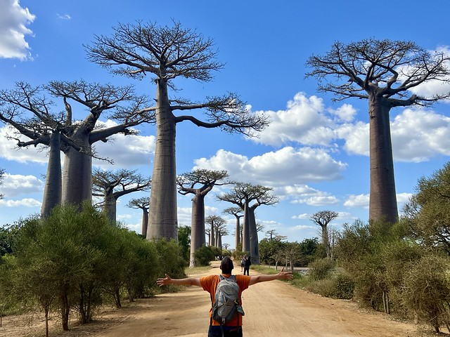 Sele en la Avenida de los Baobabs de Madagascar
