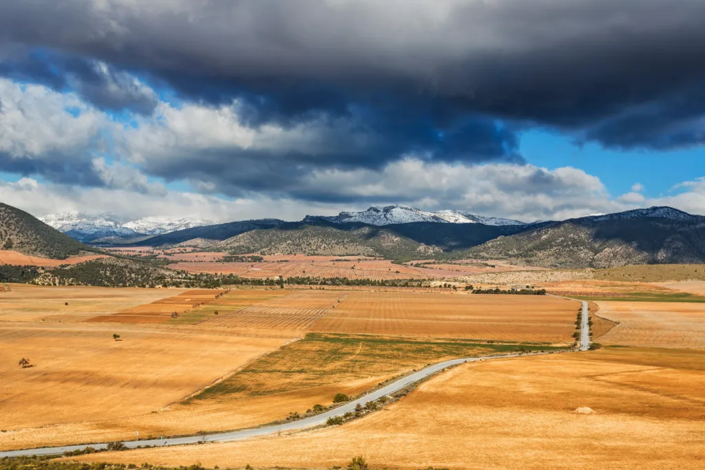 Campos de Húescar. Por qarthadast.