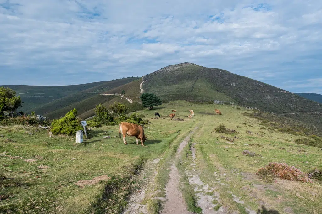 Sendero por el que va el Camino de Santiago Primitivo, en su alternativa por Hospitales. Por Martin Schütz
