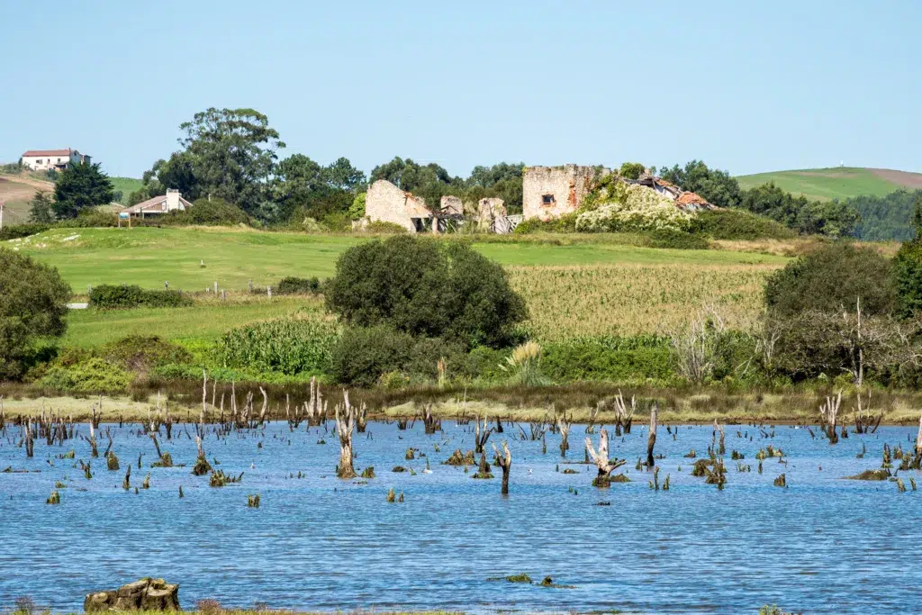 Parque Natural de Oyambre. Por rudiernst.