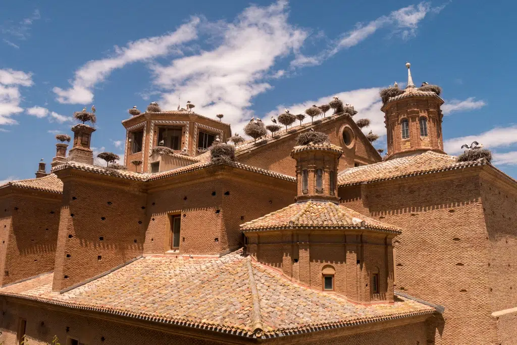 Cigüeñas en la Colegiata de San Miguel Arcángel de Alfaro. Por lavillia