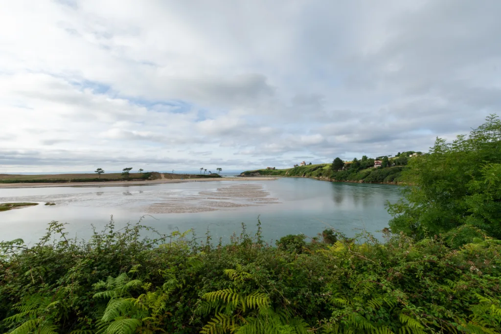 Ría de la Rabia, Cantabria