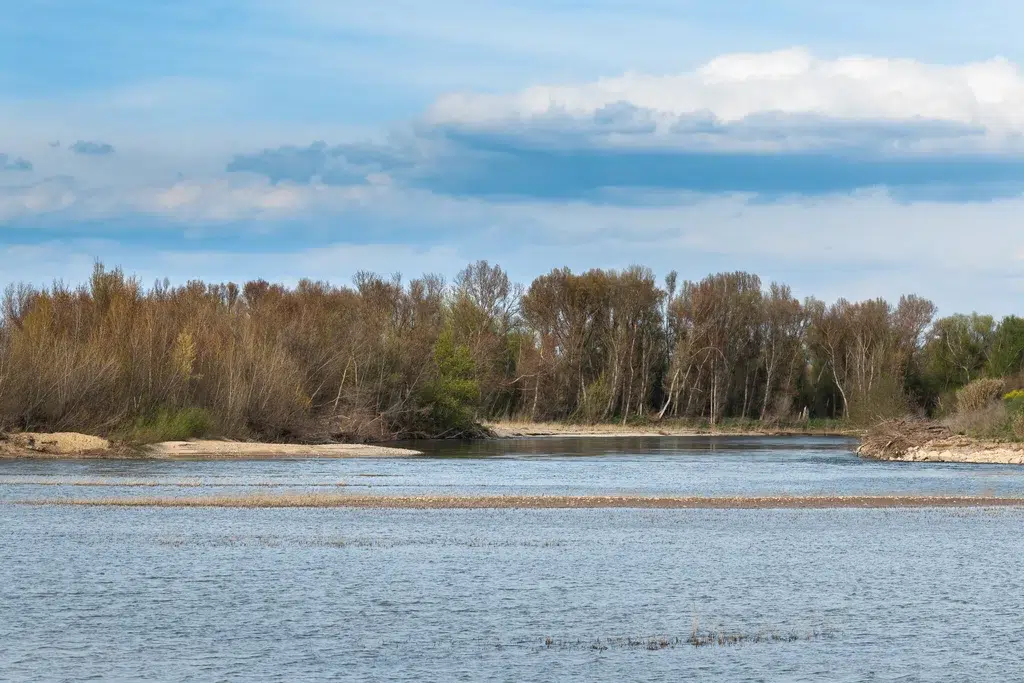 La reserva natural de Sotos del Ebro, en La Rioja. Por Noradoa