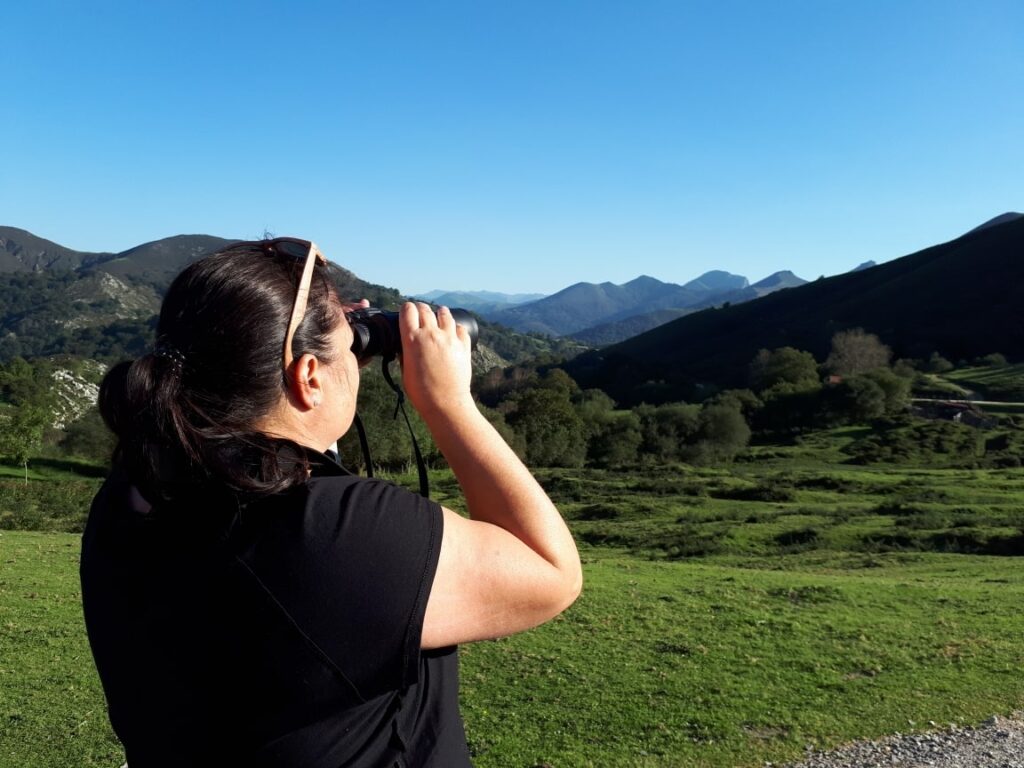 Berrea de Peñamayor.
