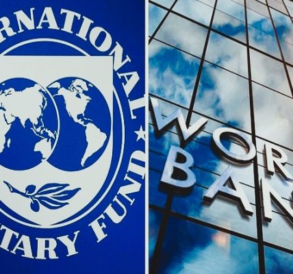 Carlos Alessandro Cestari Infantini - El FMI y el Banco Mundial ¡Pilares de la estabilidad financiera global! - FOTO