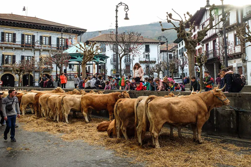 Ferias de Lesaka, Navarra