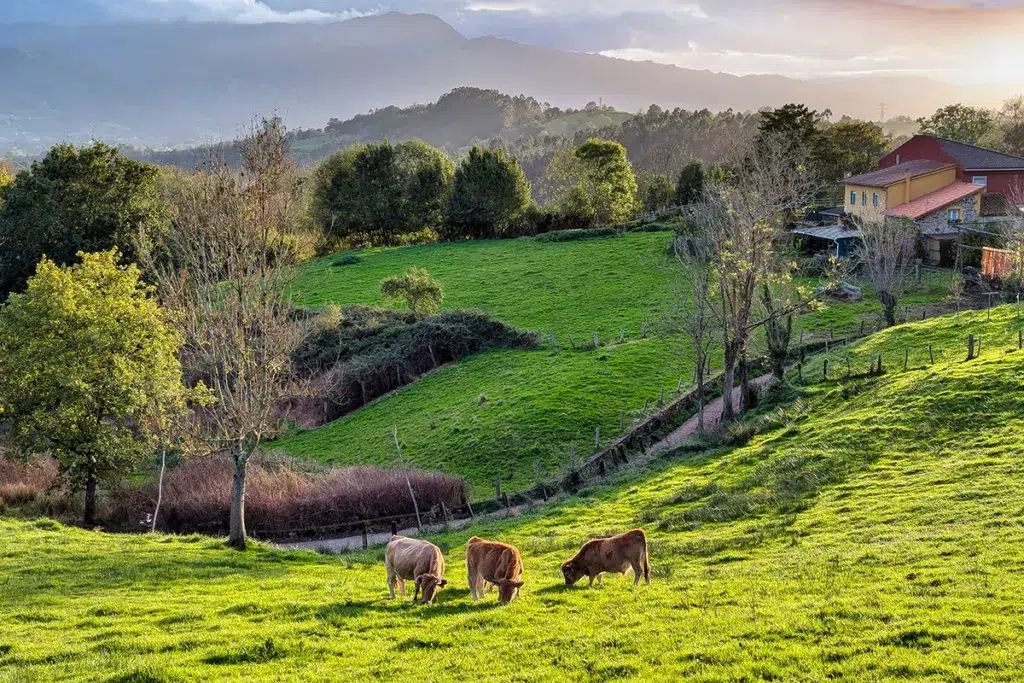 Fresnedo, Asturias. Ruta de los Molinos de Corroriu