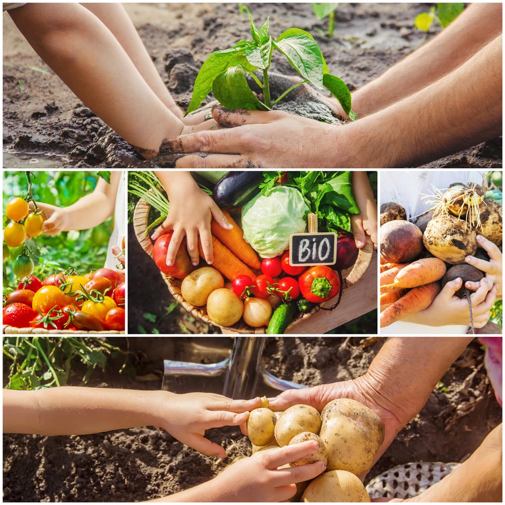 agroecología