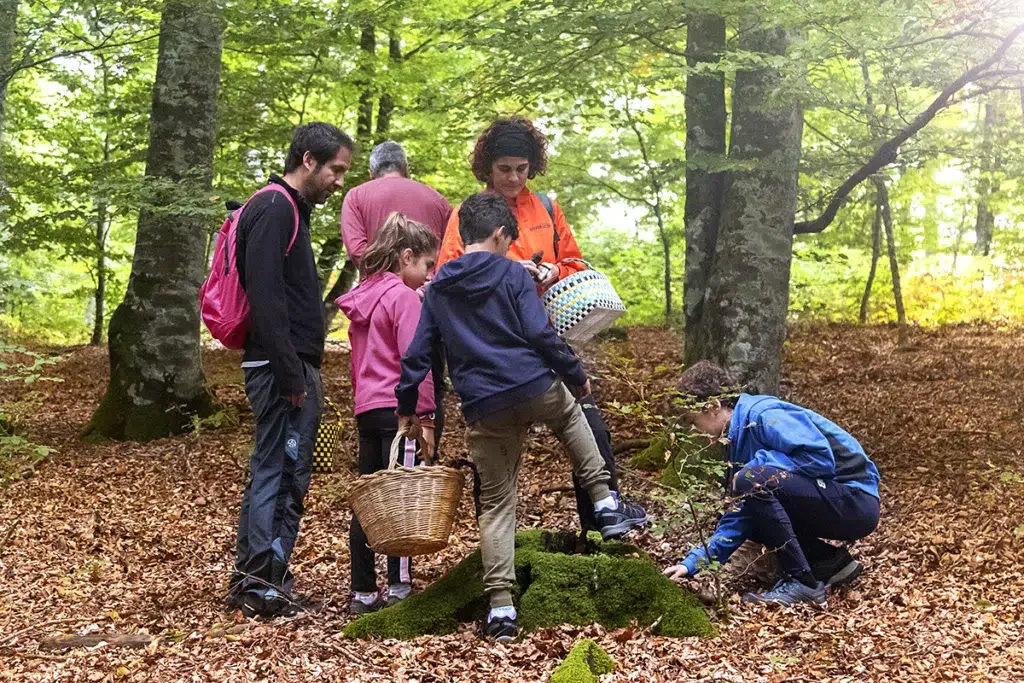 Larraintzar. Parque micológico Ultzama. Turismo Gobierno de Navarra