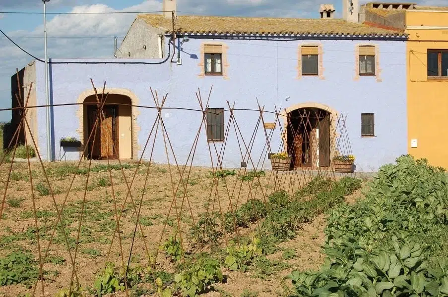 Casas rurales para participar en la vendimia: Les Orenetes