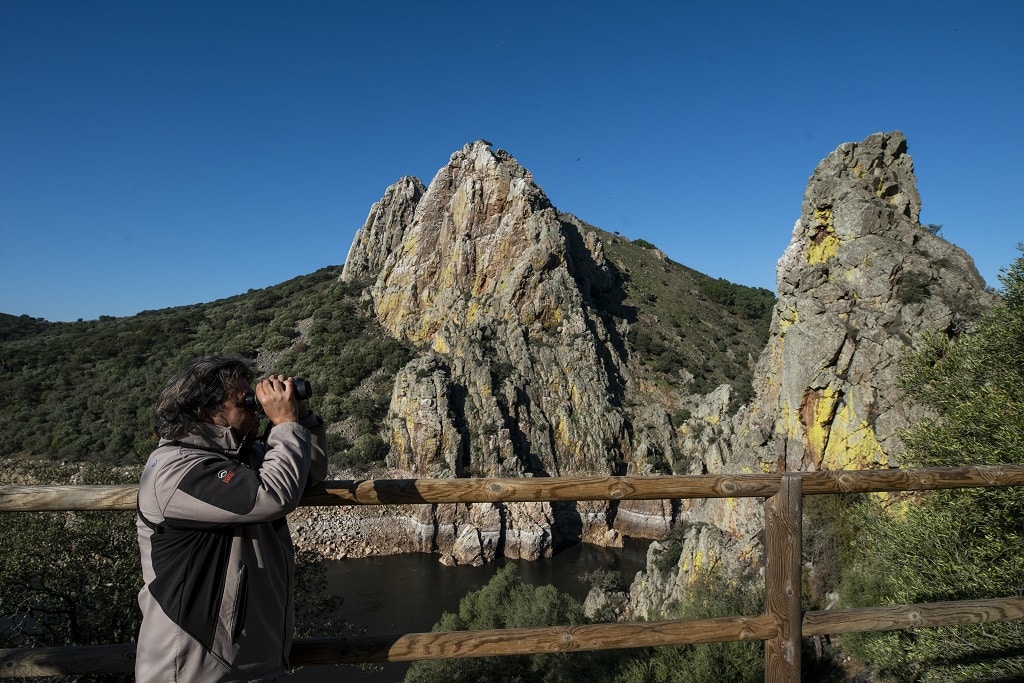 En el Parque Nacional Monfragüe se puede ver la berrea del ciervo.