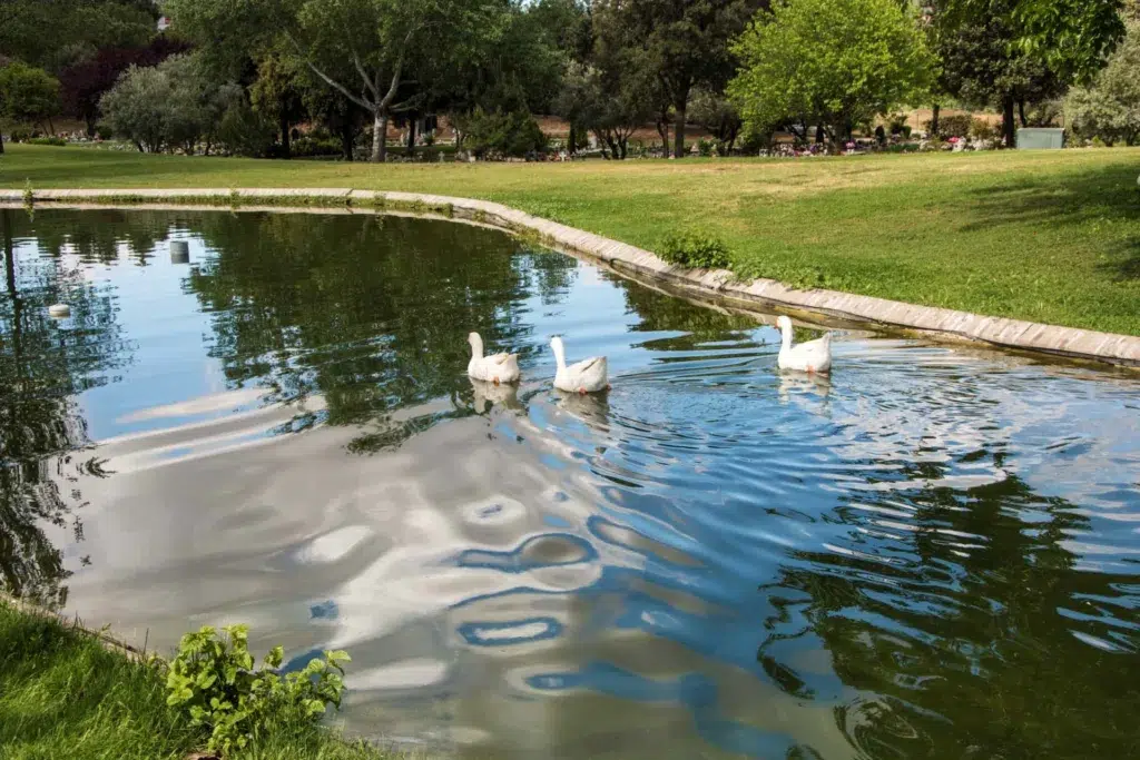 Cementerio Jardín de Alcalá de Henares, Madrid