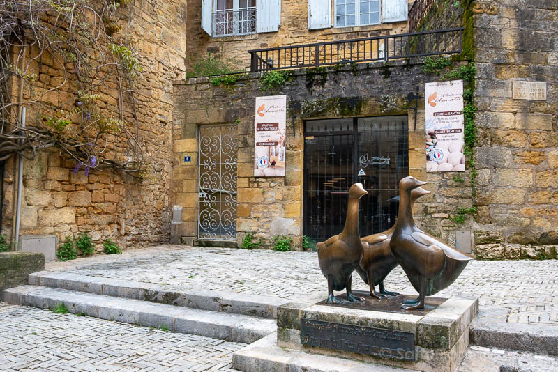 Que Ver en Sarlat-la-Caneda Plaza Mercado Ocas