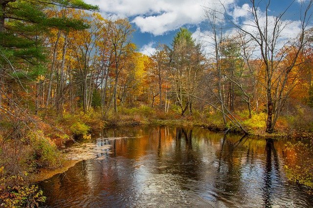 forest-g5abff1905_640 Ruta por noreste de EEUU en busca de los mejores colores del otoño