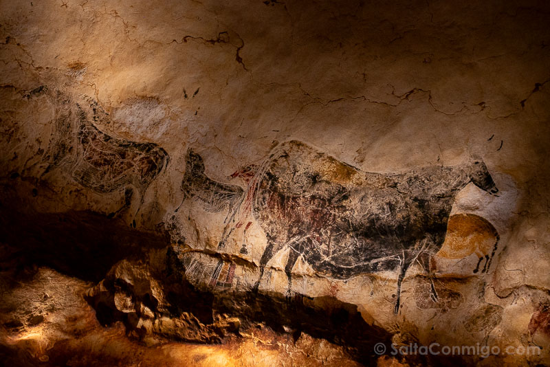 Visita Cueva Lascaux Animales