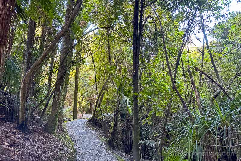 Pancake Rocks Nueva Zelanda Paparoa National Park Truman Track