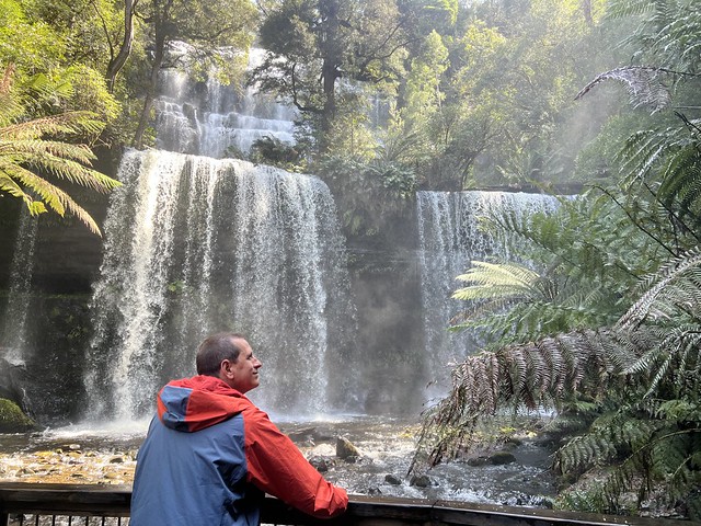 Sele en Russell Falls (Mount Field National Park, Tasmania)