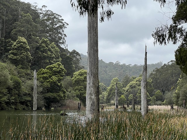 Lake Elisabeth (Estado Victoria, Australia)