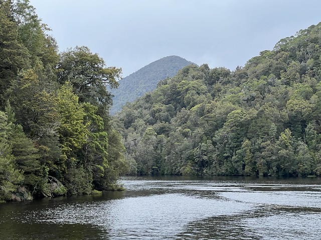 Río Gordon en el oeste de Tasmania (Australia)