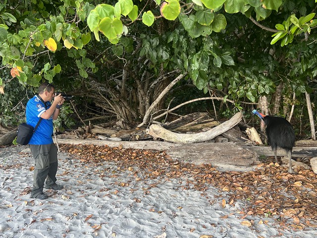 Sele fotografiando un casuario en Etty Bay Beach (Queensland, Australia)