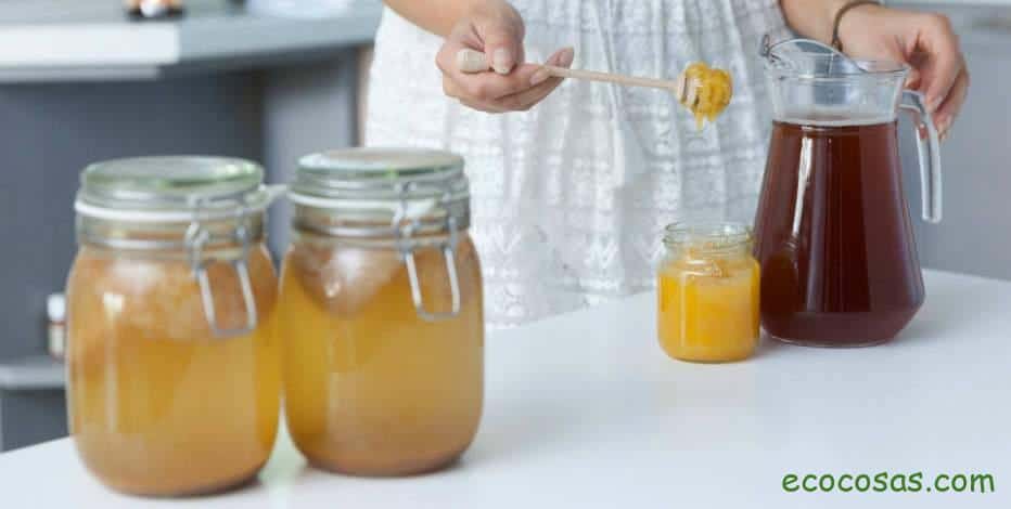 Kombucha: Guía Completa 2025 - Beneficios, Propiedades y Receta 2 te kombucha