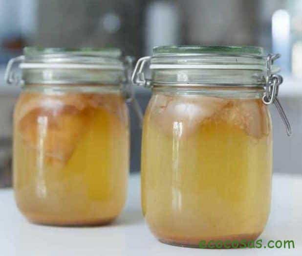 Kombucha: Guía Completa 2025 - Beneficios, Propiedades y Receta 3 kombucha beneficios