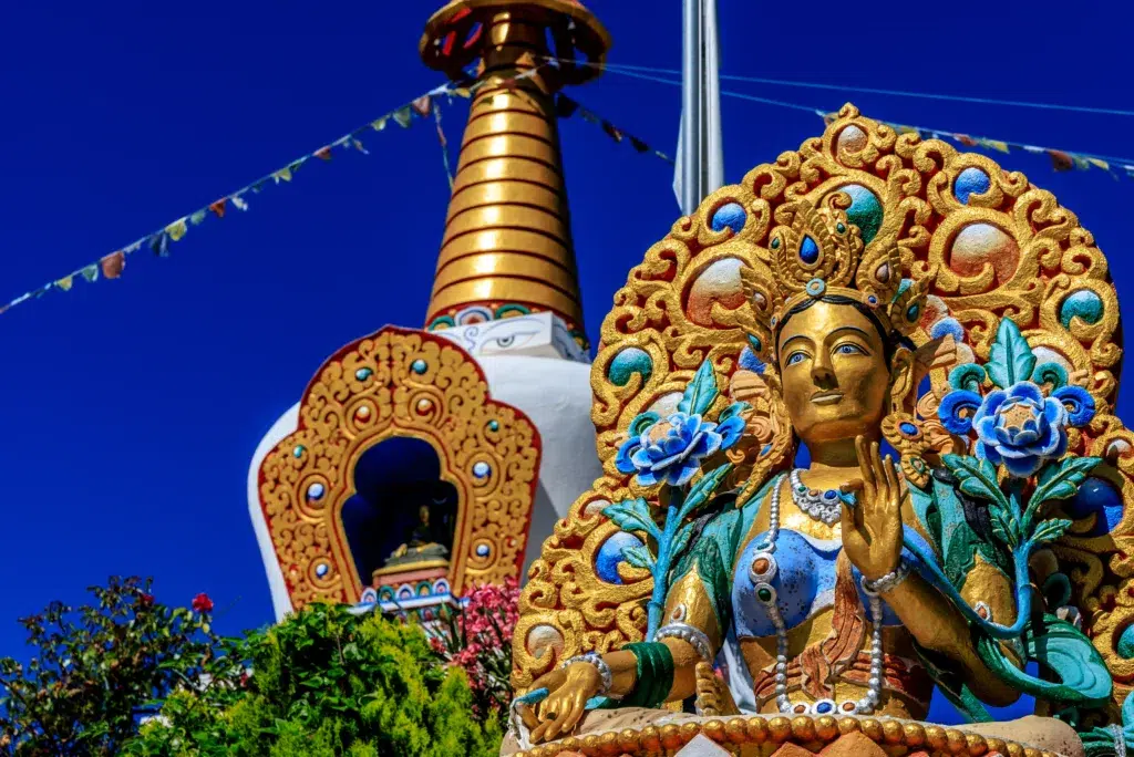 Imagen del Dag Shang Kagyu. Por Fernando.