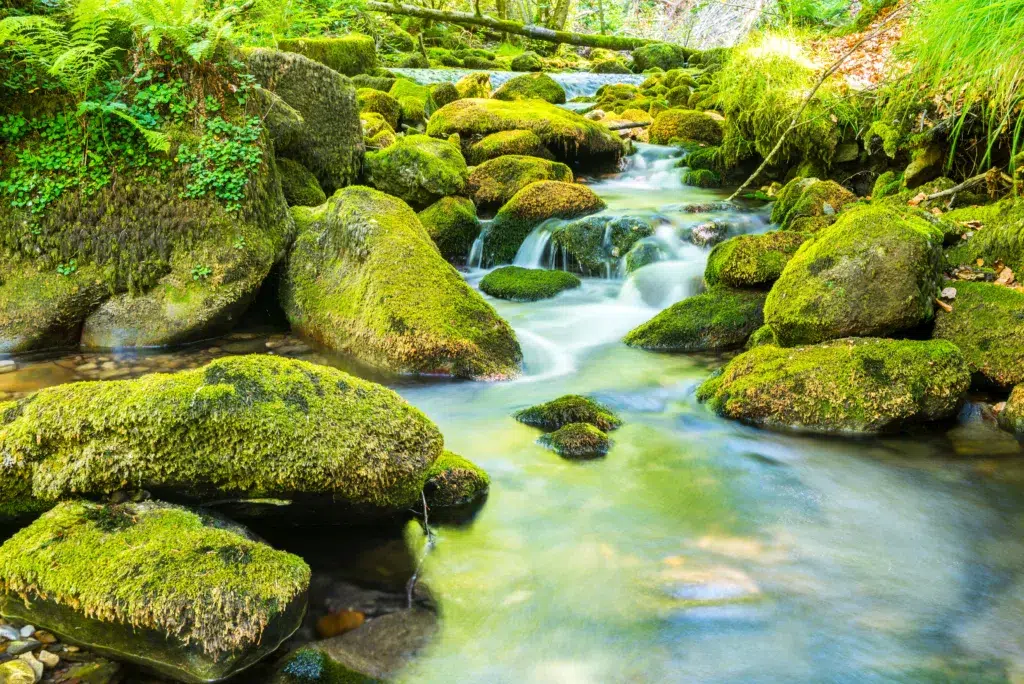Cascadas del río Zirauntza. Por Noradoa.