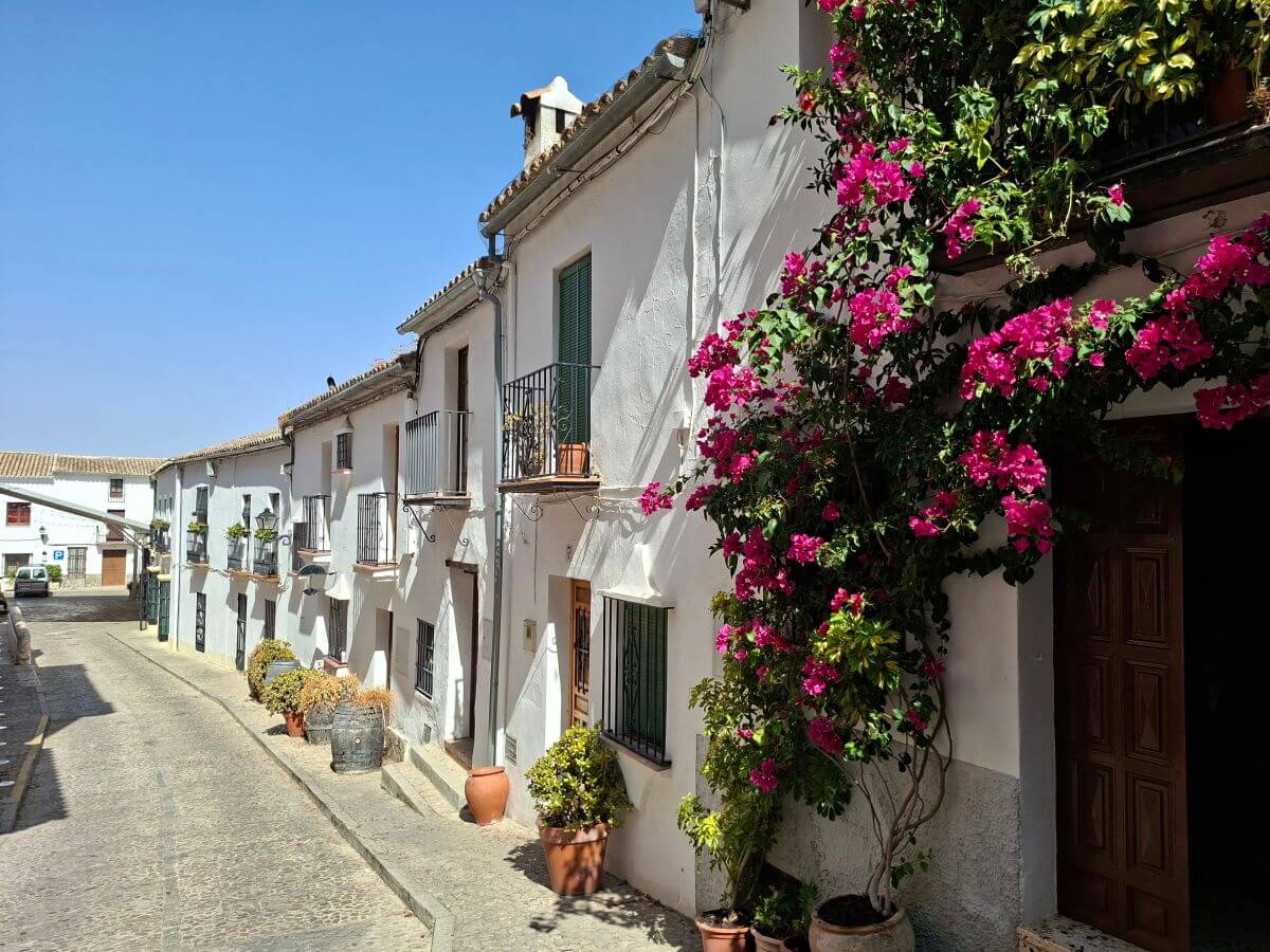 Buganvillas en Zahara de la Sierra