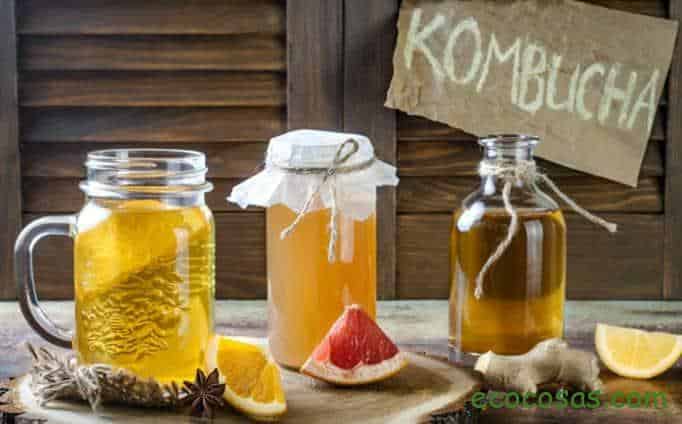 Kombucha: Guía Completa 2025 - Beneficios, Propiedades y Receta 1 como hacer kombucha