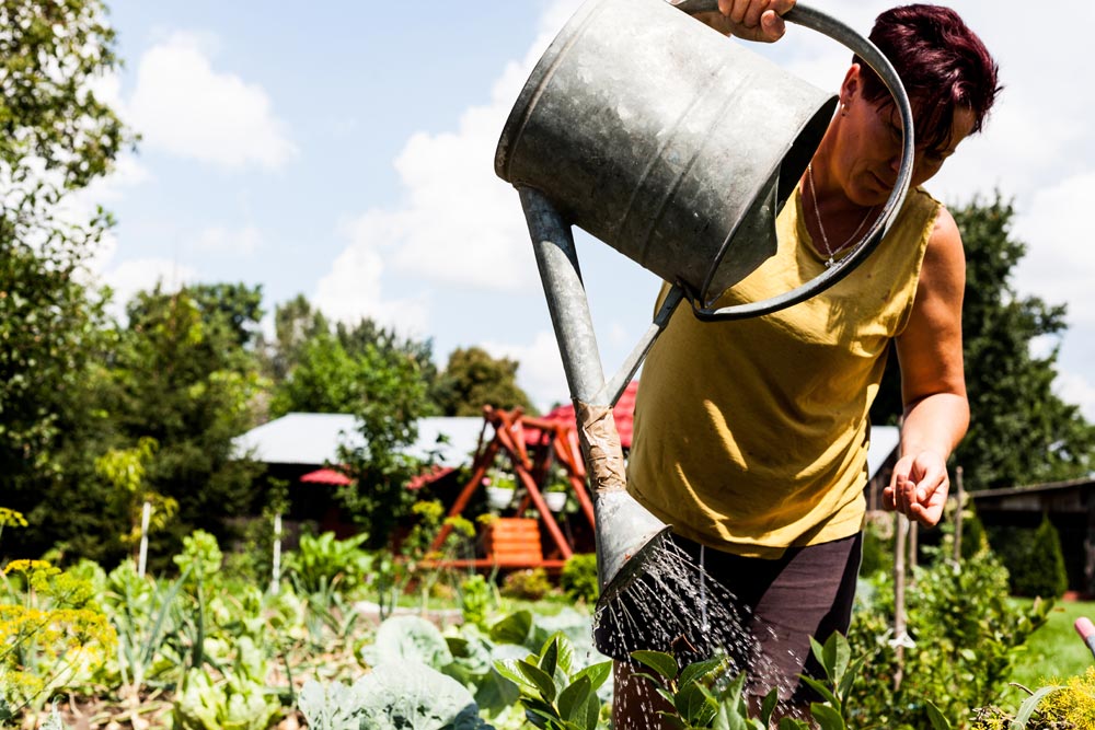 agricultura biodinámica