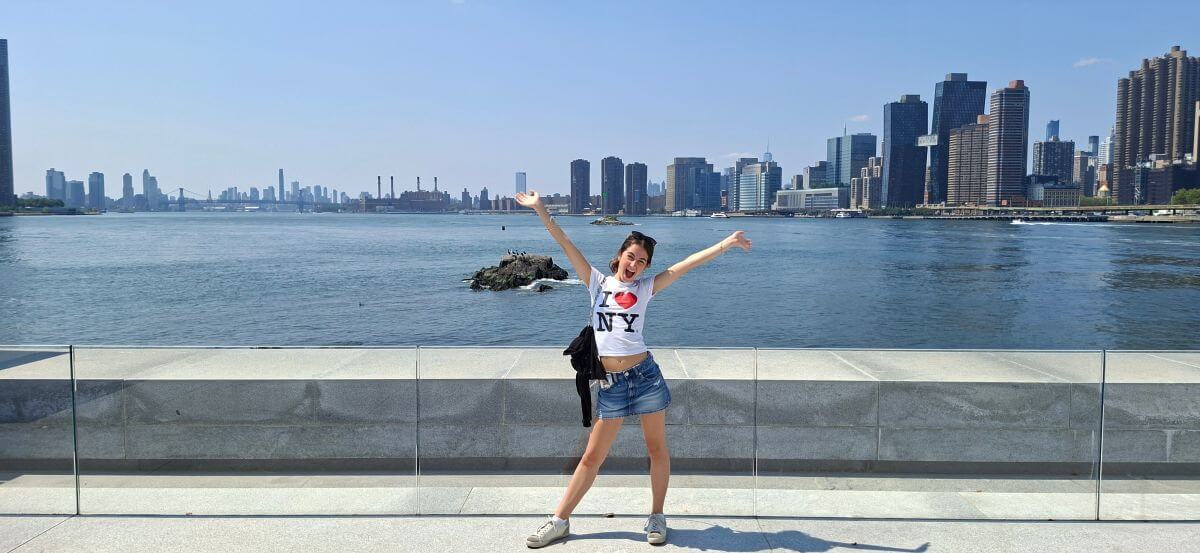 Vistas del Brooklyn Bridge desde el sur de la isla