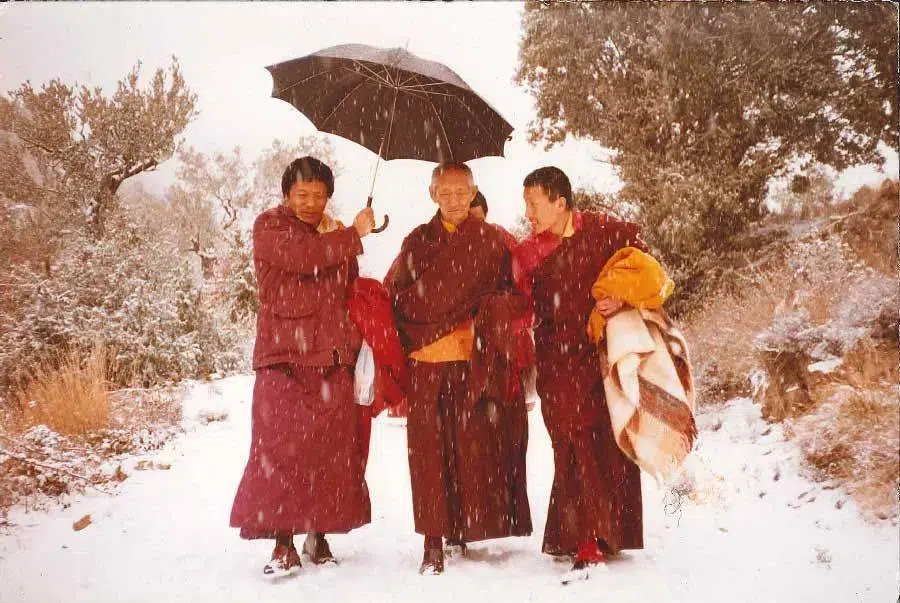 Kyabje Kalu Rinpoché en 1984. Cortesía de Dag Shang Kagyu.