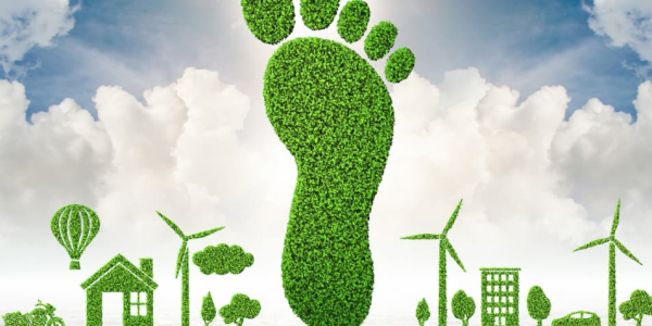 Claudio Antonio Ramirez Soto | El Carbono Oculto