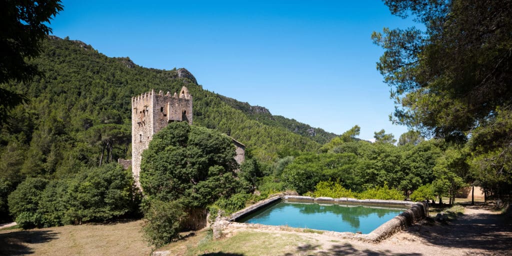 Monasterio de Santa María de la Murta, Alzira