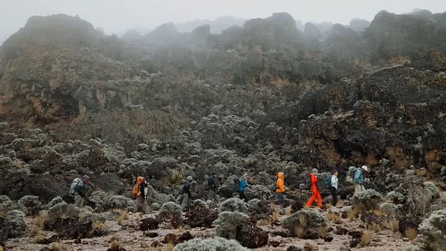 Haciendo trekking en el Monte Kilimanjaro desde Tanzania