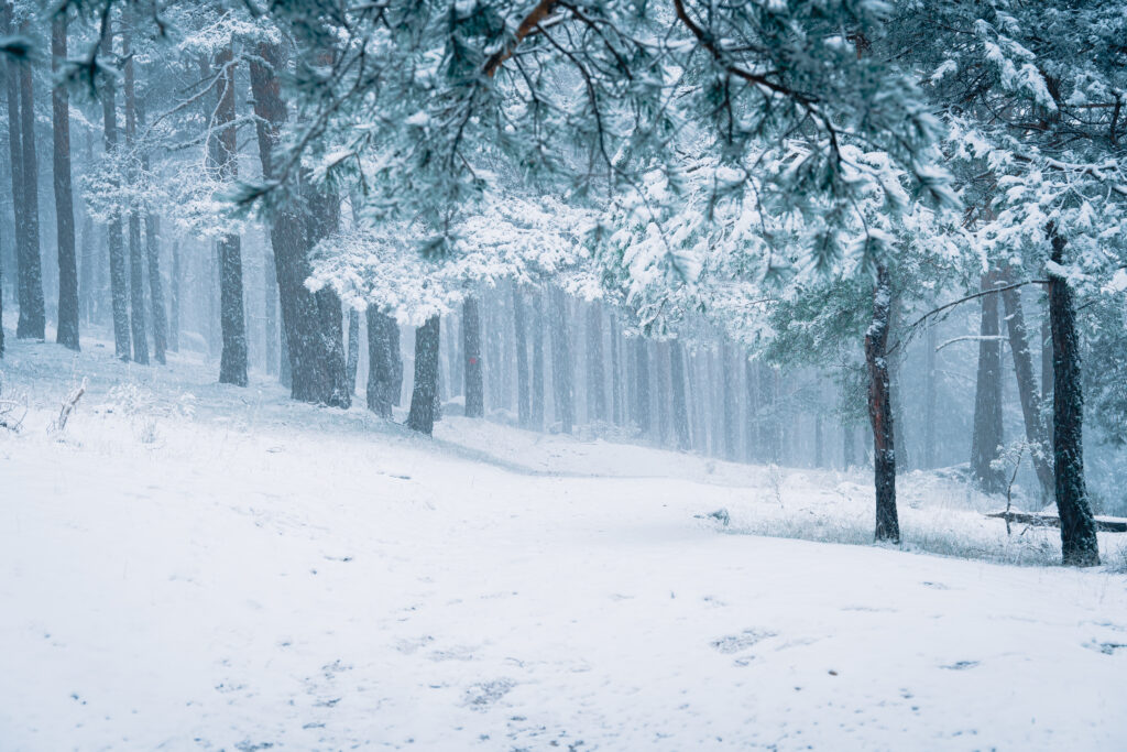 Blanca Navidad en Cercedilla. Por RaphaelNicolas.