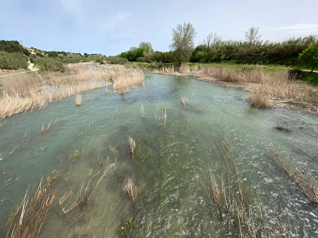 Parque fluvial del Túria de Valencia. Por SerFF79
