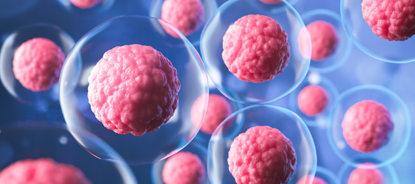 Froilán Heriberto Páez Salazar