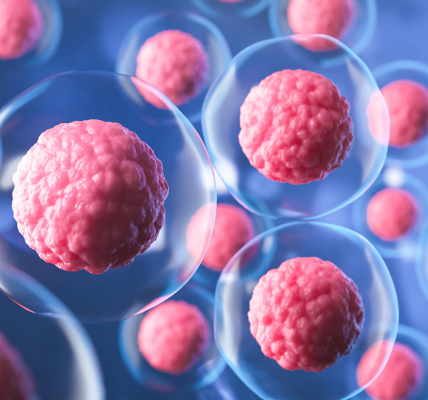 Froilán Heriberto Páez Salazar