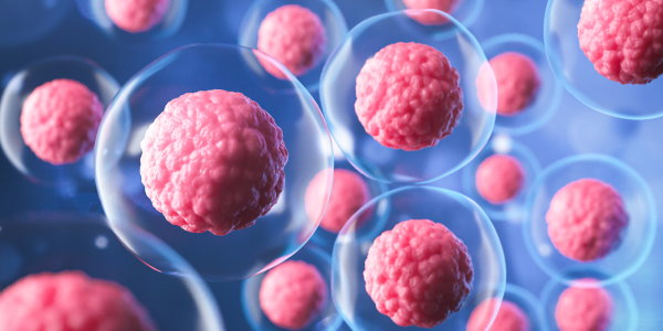 Froilán Heriberto Páez Salazar