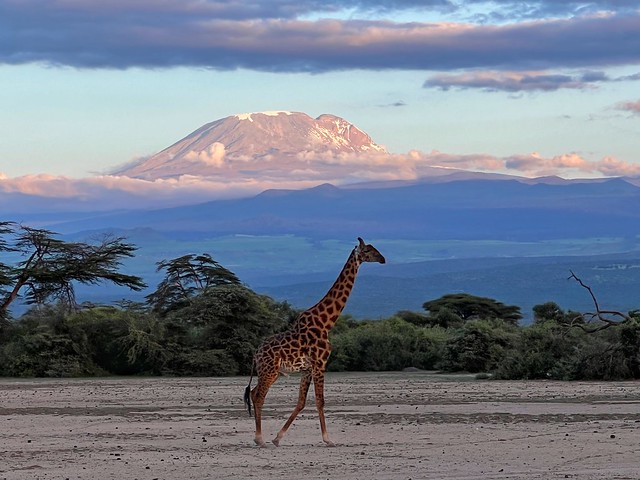 Monte Kilimanjaro desde Tanzania