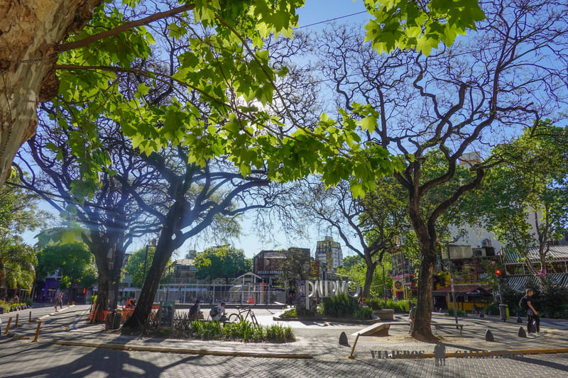 barrio palermo buenos aires
