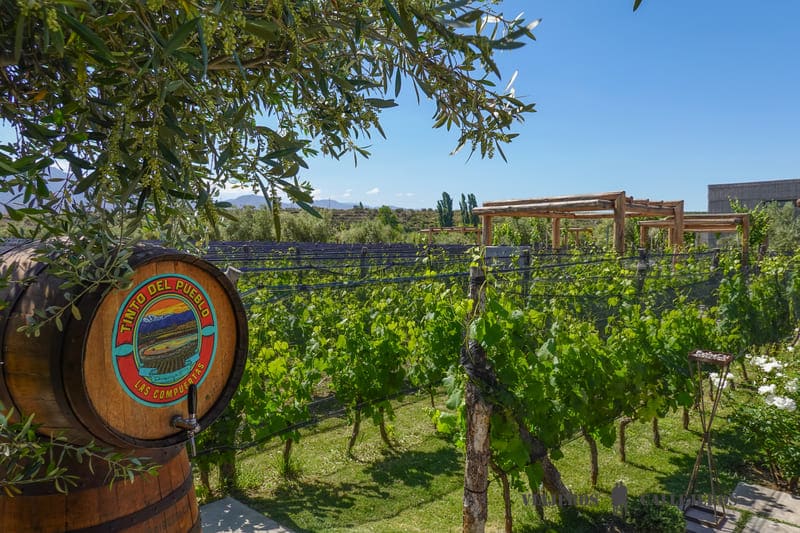 Bodegas que hacer en Mendoza