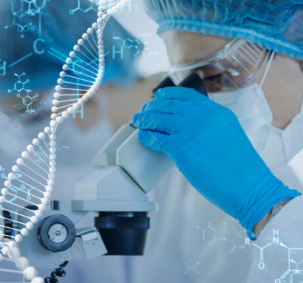 Froilán Heriberto Páez Salazar: Innovaciones Médicas