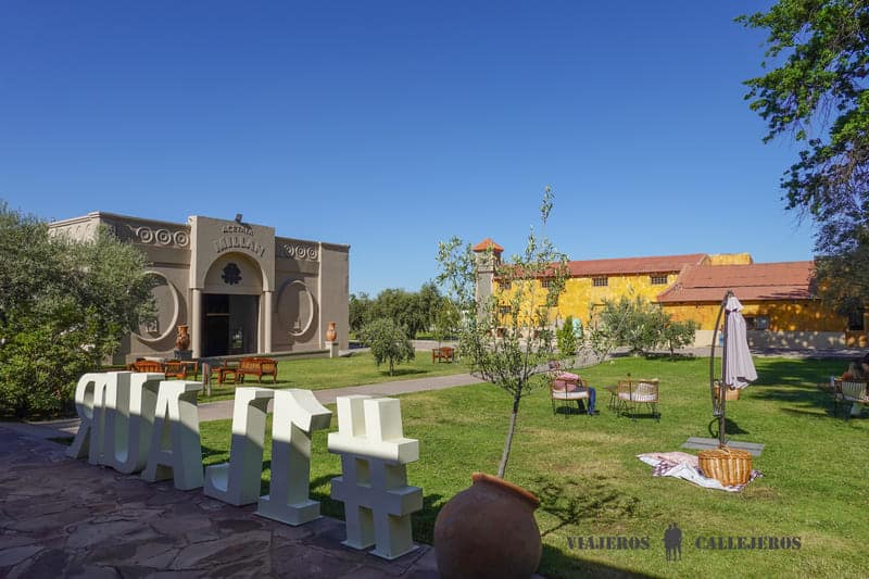 Olivícola Laur mendoza