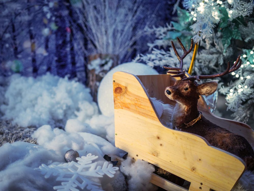 Detalle de Peque Navidad en Bustarviejo.