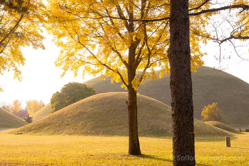 Guia para Viajar a Corea del Sur Gyeongju Tumulos Silla