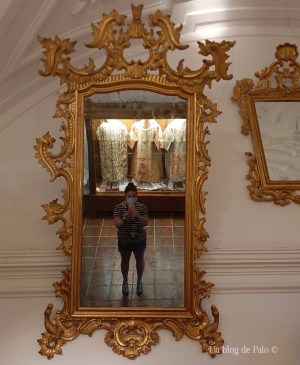 Paloma en Atienza